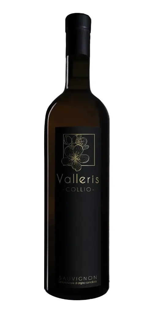 Sauvignon 2023